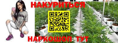 ГАЛЛЮЦИНОГЕННЫЕ ГРИБЫ Обь