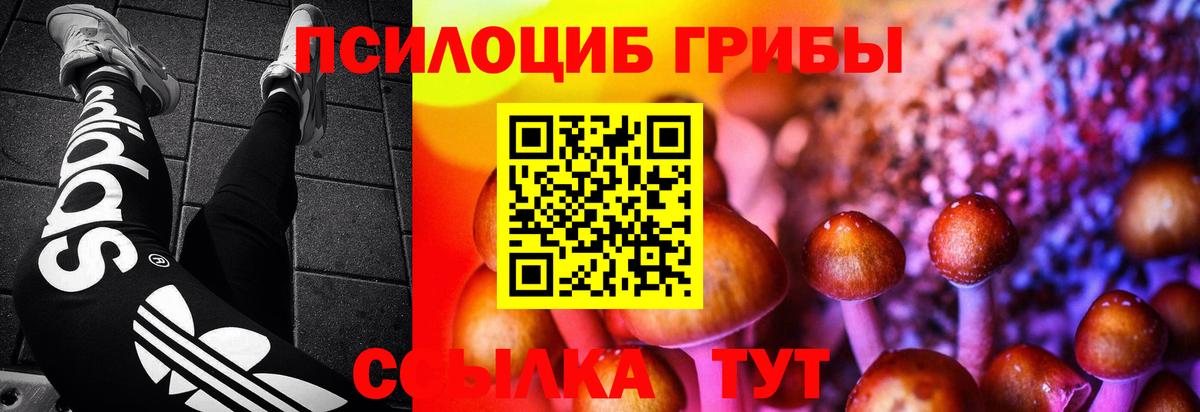 Солнечногорск  Псилоцибиновые грибы Psilocybe  Псилоцибиновые грибы ЛСД  Вход с VPN 
