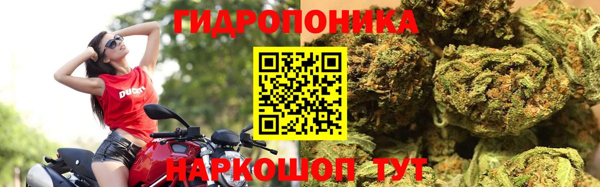 Бошки марихуана план Солнечногорск